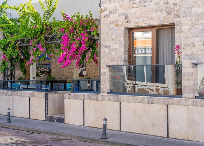 Tuna Butik Otel 2* Bodrum